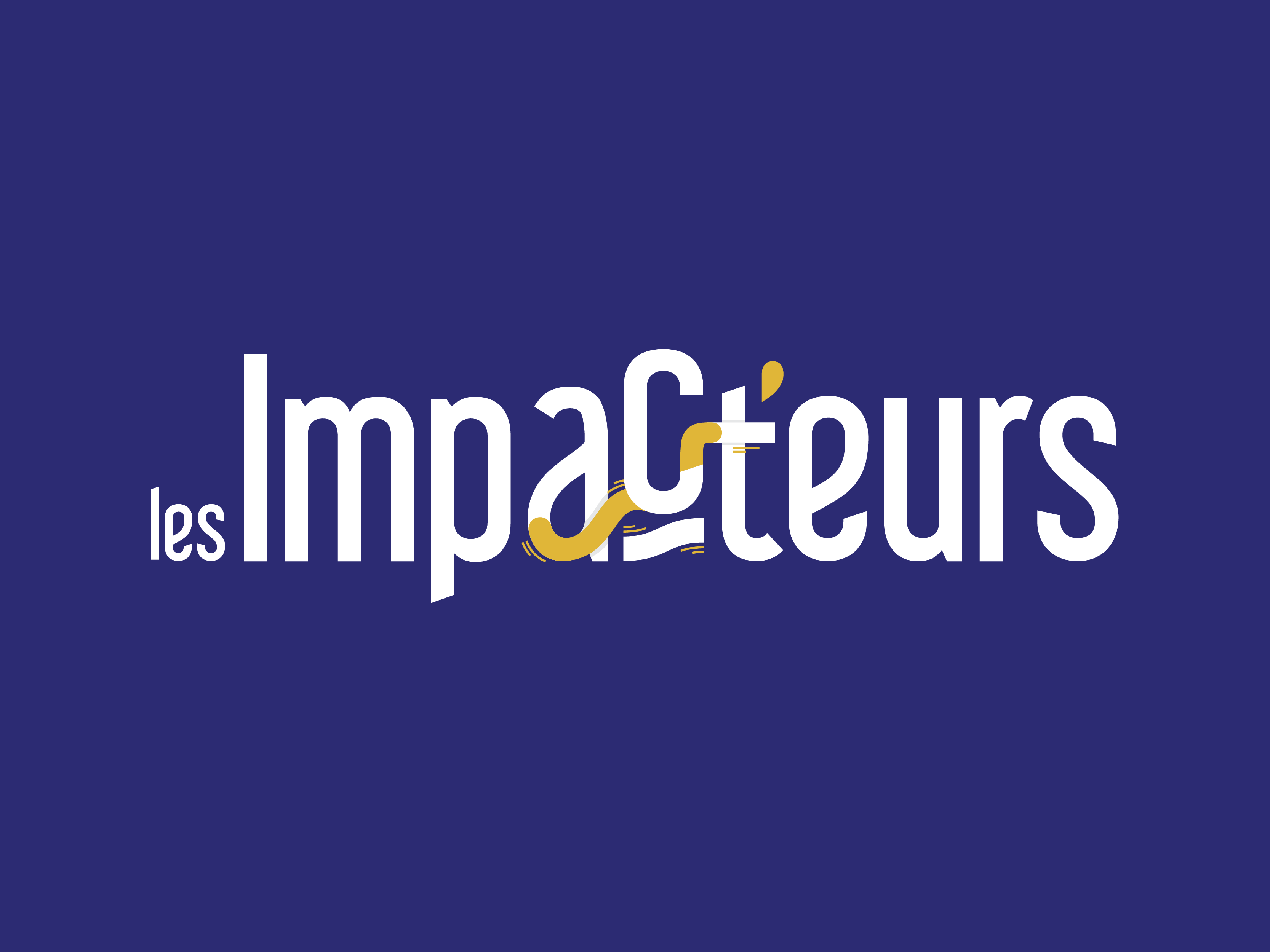 image de mise en avant du projet les Impacteurs